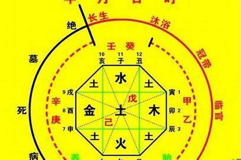 八字水|解读八字五行之水，喜用为水的命局应如何补？